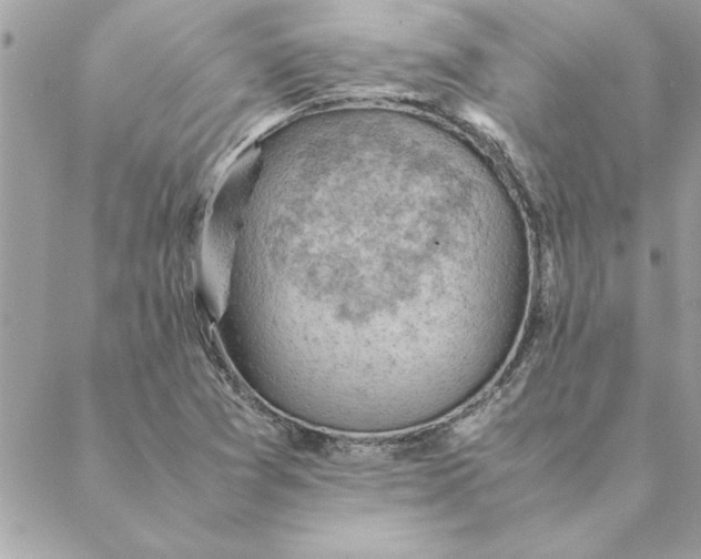 X0000088601361200706151751