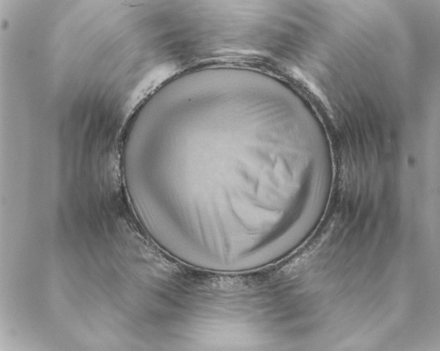 X0000088601362200706151751