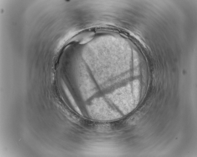 X0000088601363200706151751