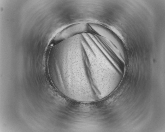 X0000088601364200706151751