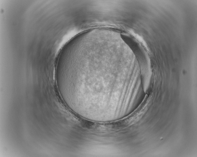 X0000088601365200706151751