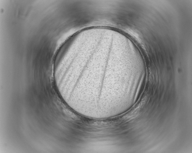 X0000088601366200706151751