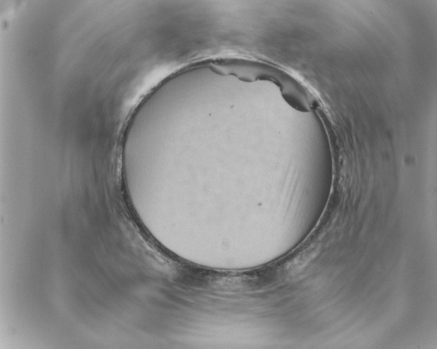 X0000088601367200706151751