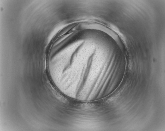 X0000088601368200706151751