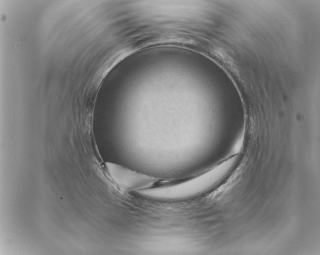 X0000088601369200706151751