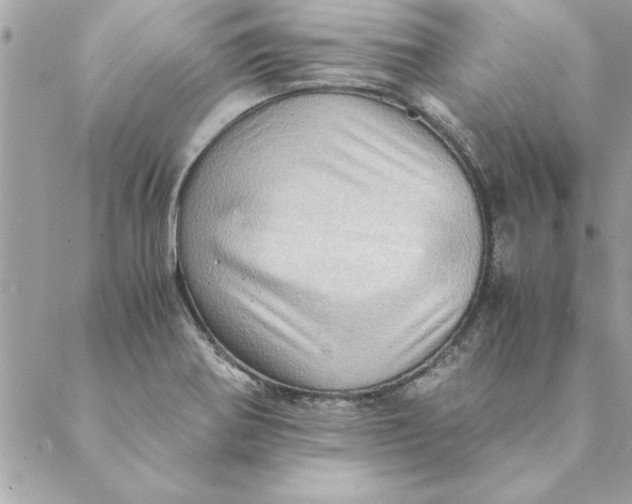 X0000088601370200706151751