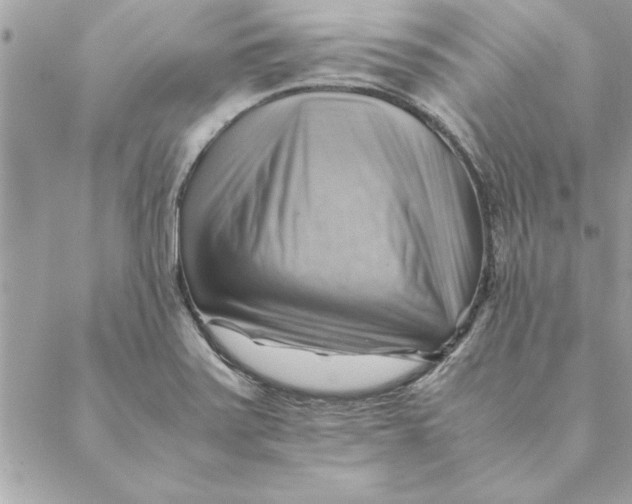 X0000088601371200706151751