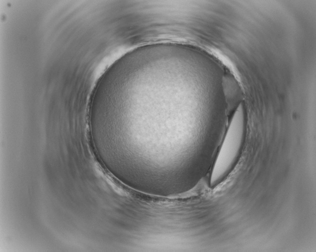 X0000088601373200706151751