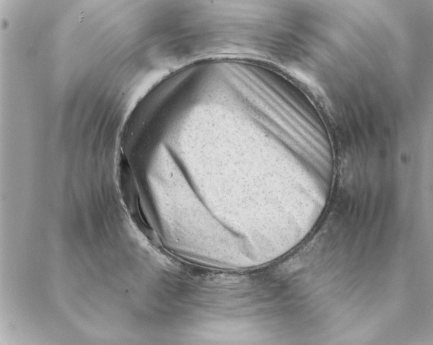 X0000088601374200706151751