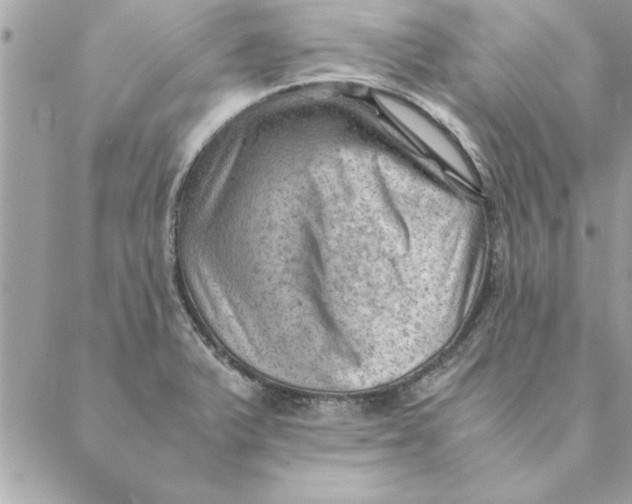 X0000088601375200706151751