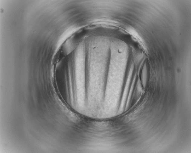 X0000088601376200706151750