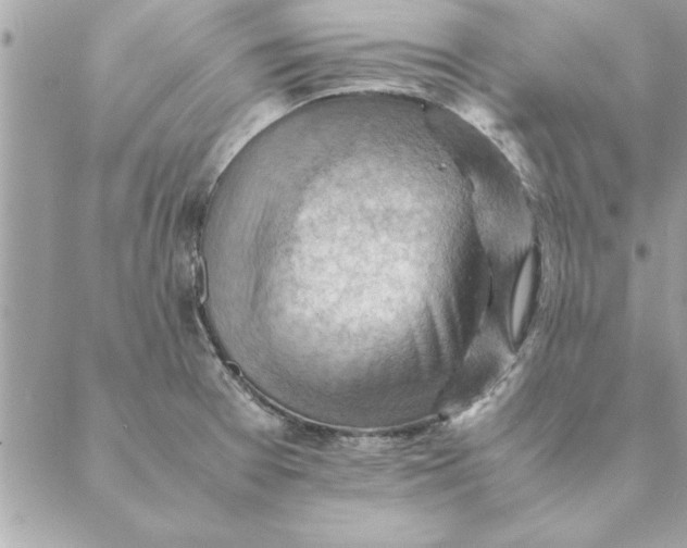 X0000088601377200706151750