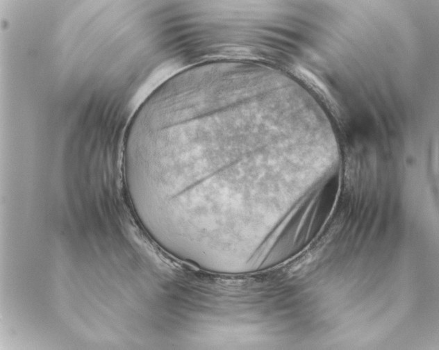 X0000088601378200706151750