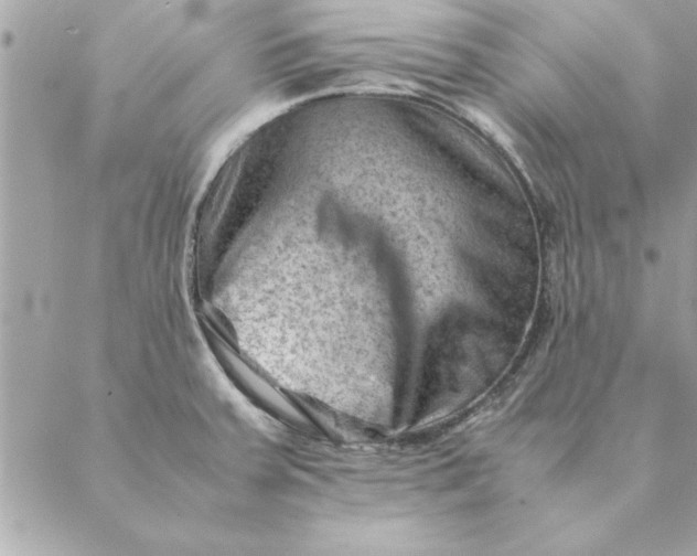 X0000088601379200706151750