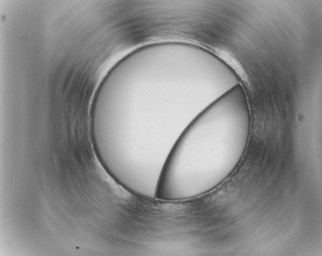 X0000088601380200706151750