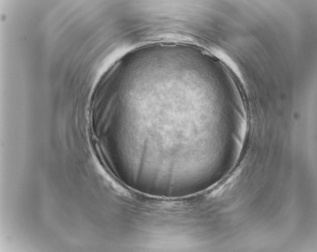 X0000088601381200706151750