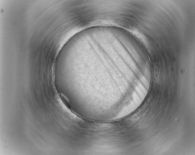 X0000088601382200706151750