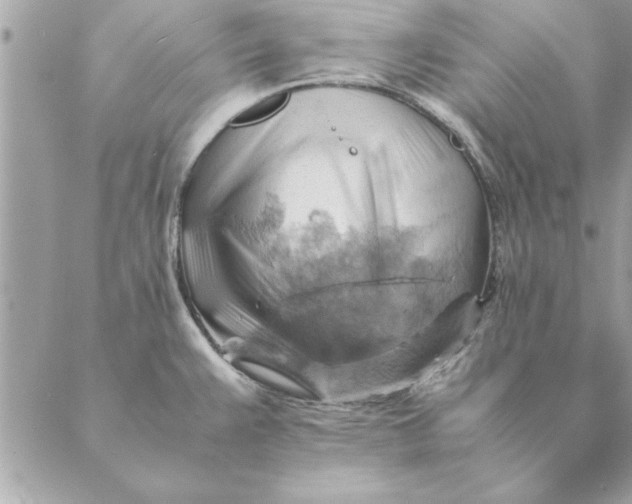 X0000088601383200706151750