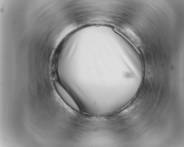 X0000088601384200706151750