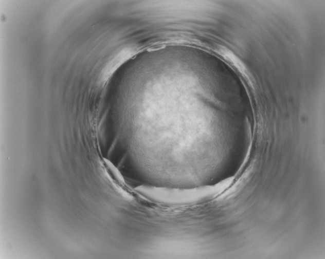 X0000088601385200706151750