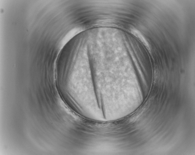 X0000088601386200706151750