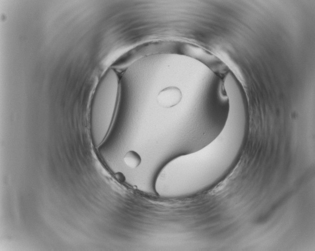 X0000088601388200706151750