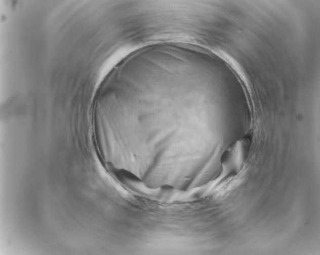 X0000088601389200706151750