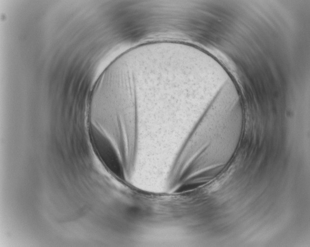 X0000088601390200706151750