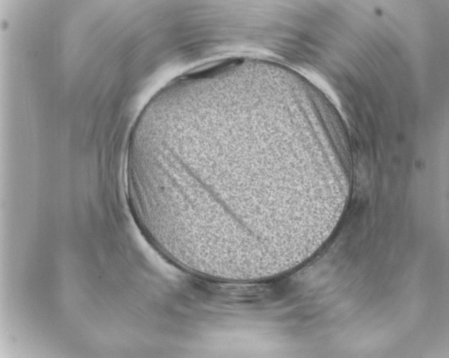 X0000088601391200706151750