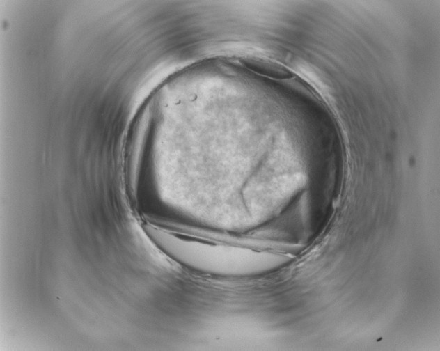 X0000088601392200706151750