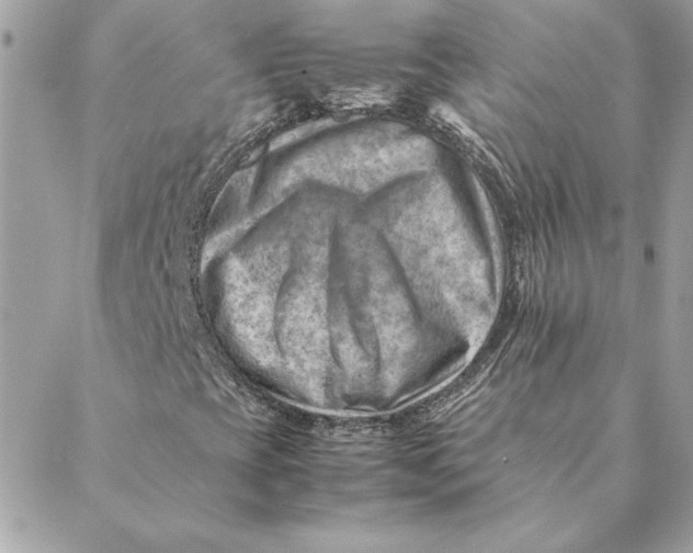 X0000088601393200706151749