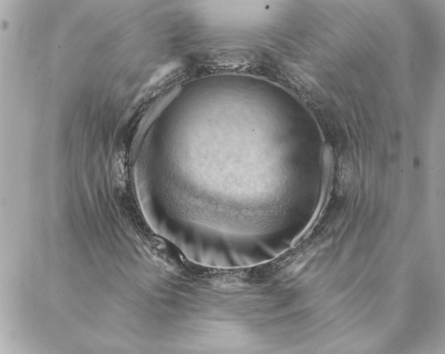 X0000088601394200706151749