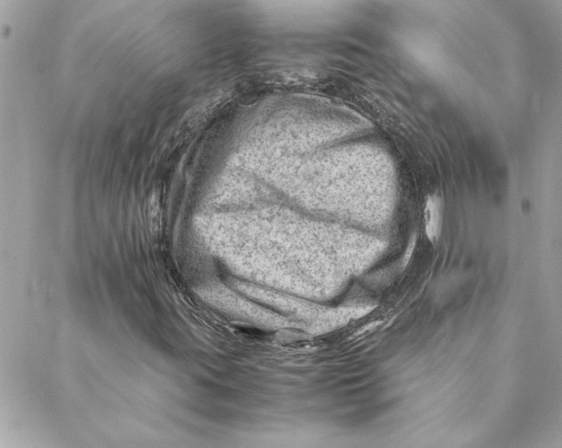 X0000088601395200706151749