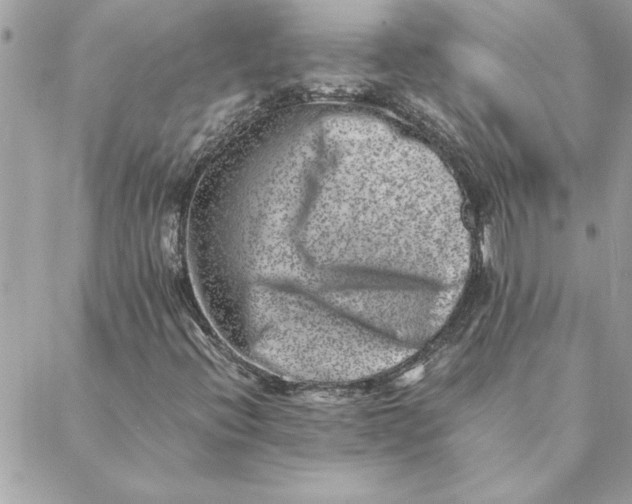 X0000088601396200706151750