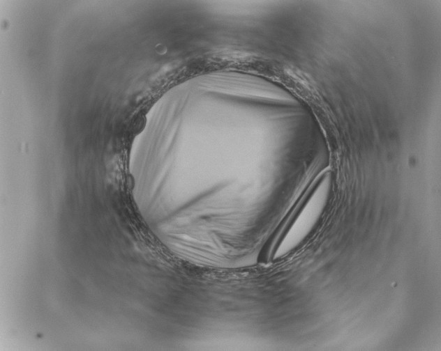 X0000088601397200706151750