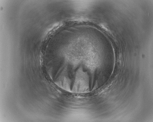 X0000088601398200706151750