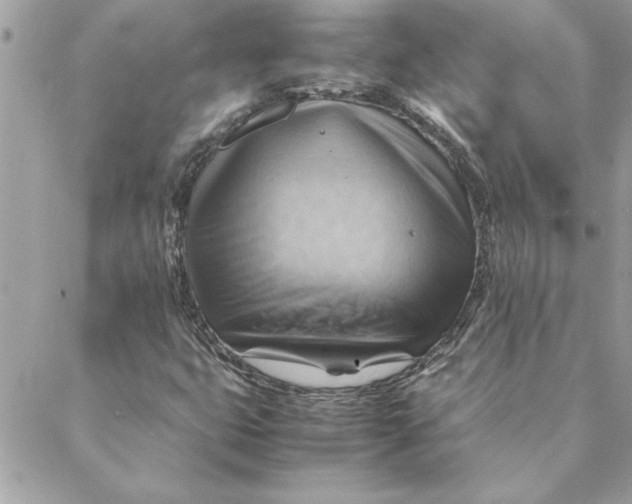 X0000088601399200706151750