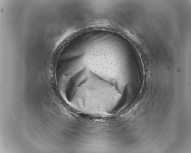 X0000088601400200706151750