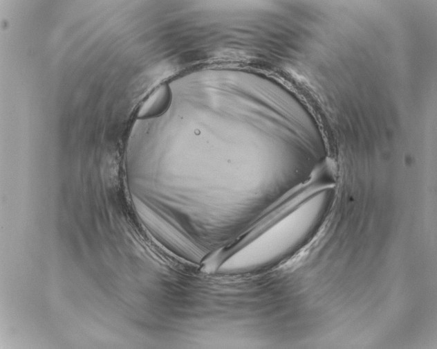 X0000088601401200706151750