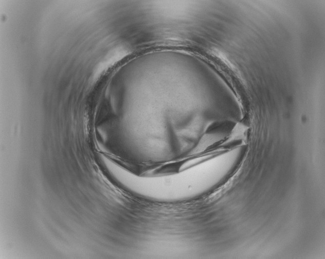 X0000088601402200706151750