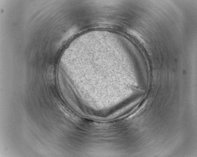 X0000088601403200706151750