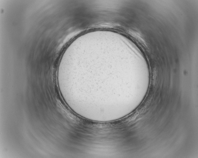 X0000088601404200706151750