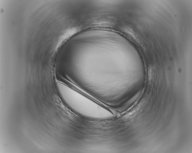 X0000088601405200706151750