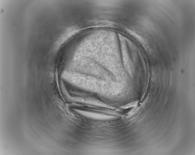 X0000088601407200706151750