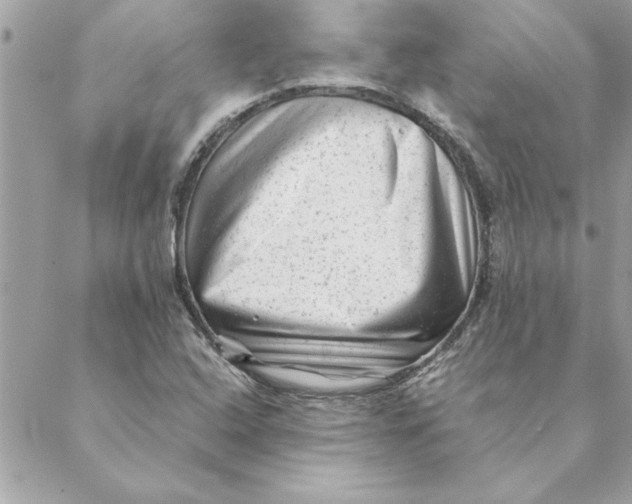 X0000088601408200706151750