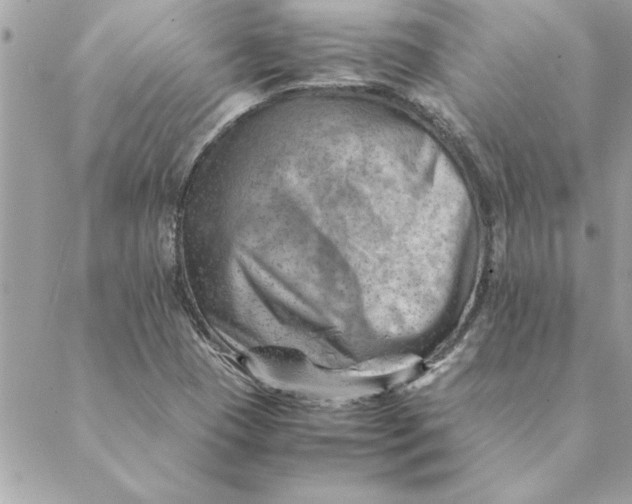 X0000088601409200706151750