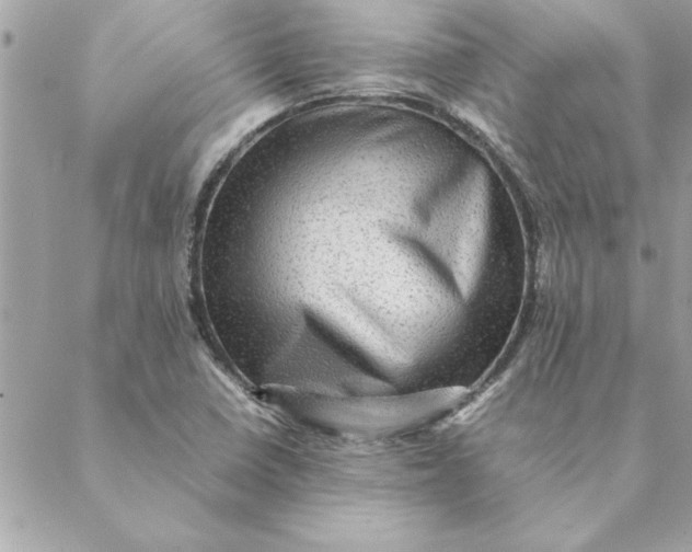 X0000088601410200706151750