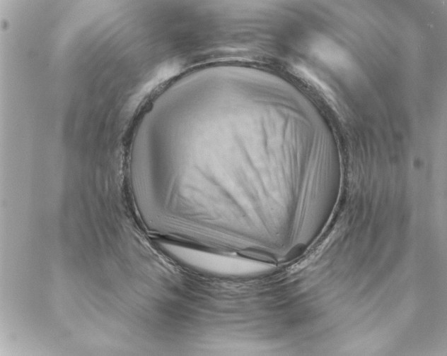 X0000088601411200706151750