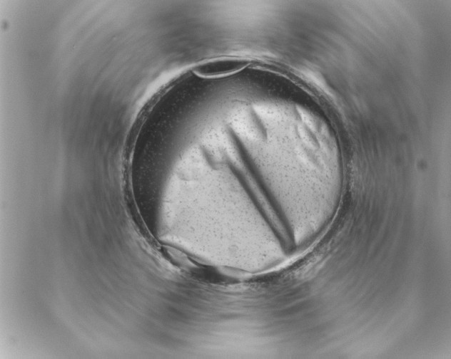 X0000088601412200706151750