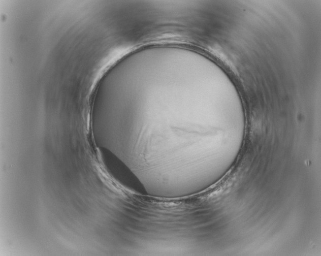 X0000088601413200706151750